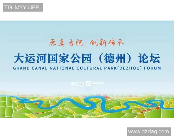 重磅专题：成都网球队如何通过创新反击重塑竞技格局