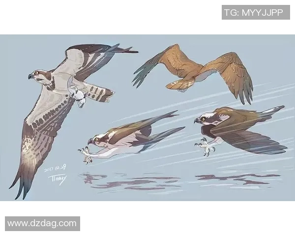 足球明星卡通形象展翅高飞的创意插画作品欣赏 足球明星卡通形象展翅高飞的创意插画作品欣赏